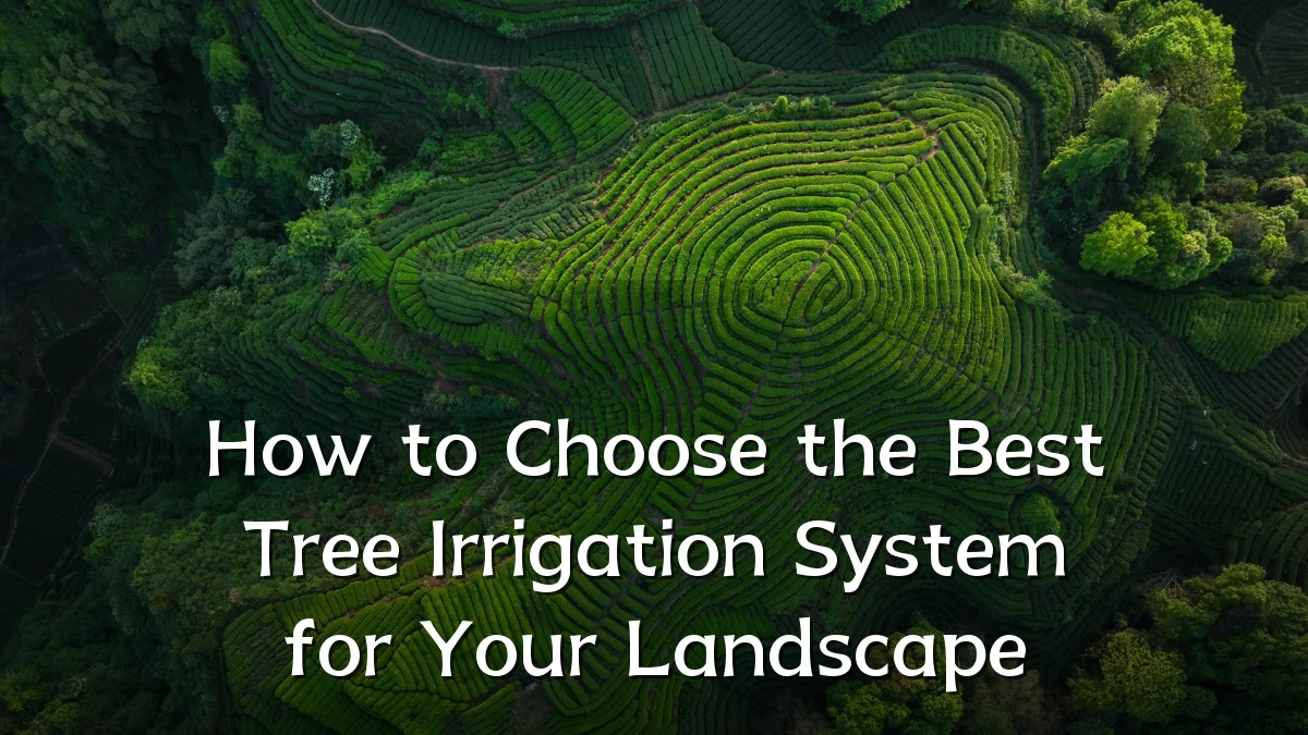 How to Choose the Best Tree Irrigation System for Your Landscape
