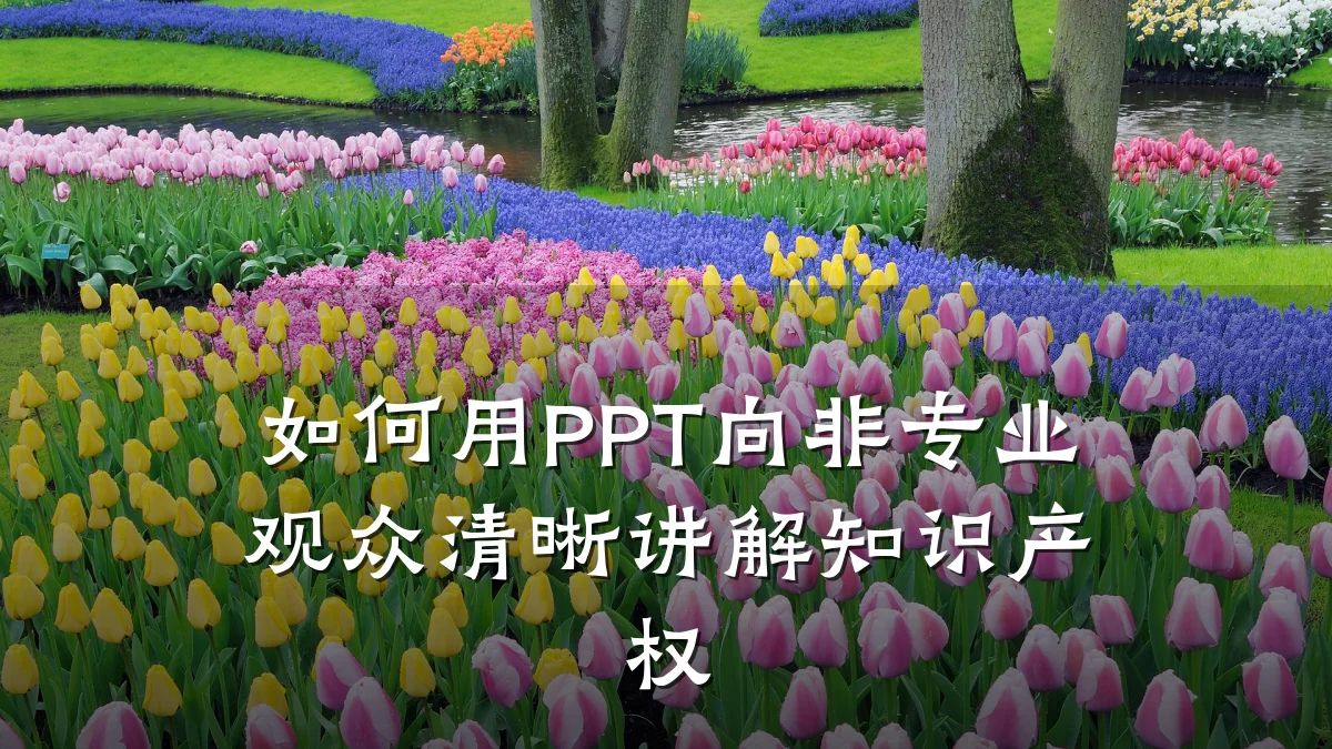 如何用PPT向非专业观众清晰讲解知识产权