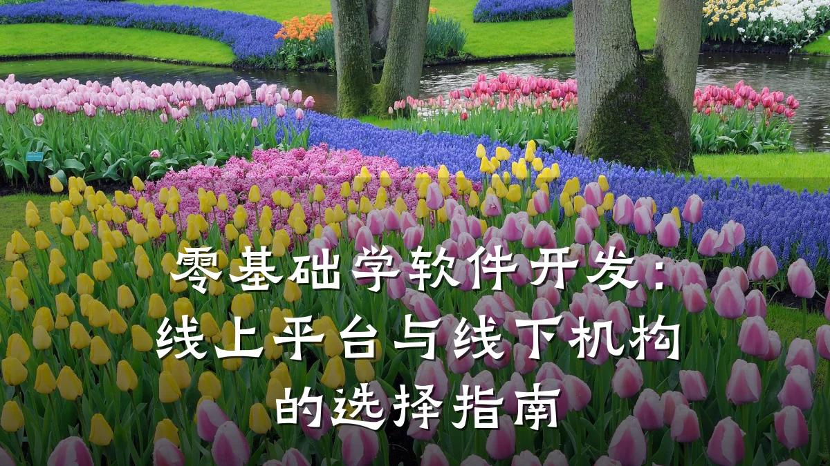 零基础学软件开发：线上平台与线下机构的选择指南