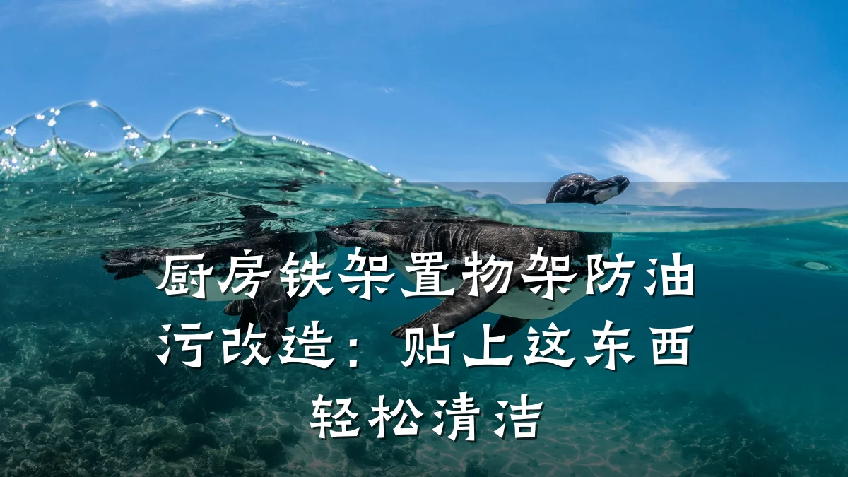 厨房铁架置物架防油污改造：贴上这东西轻松清洁