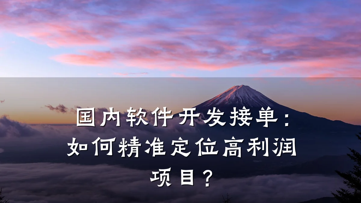 国内软件开发接单:如何精准定位高利润项目?