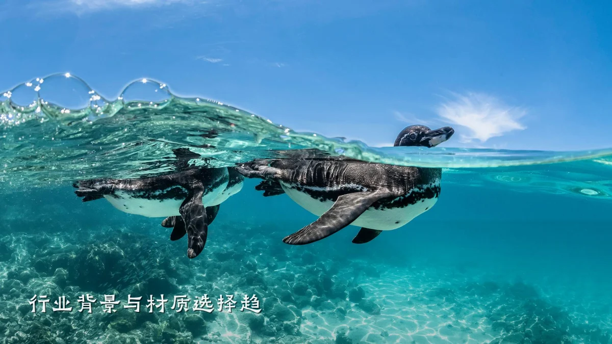 行业背景与材质选择趋