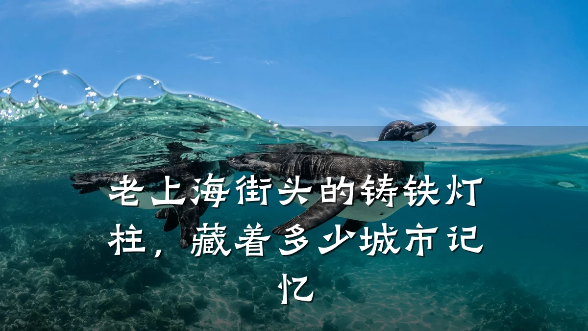 老上海街头的铸铁灯柱，藏着多少城市记忆