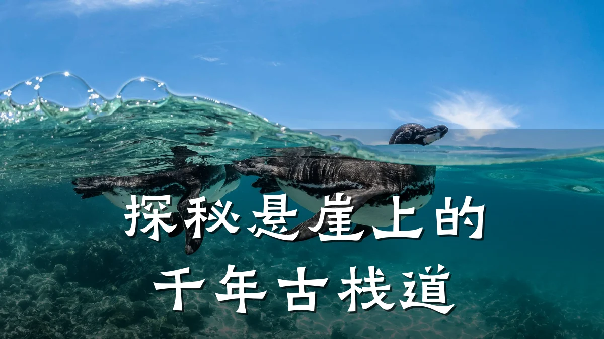 探秘悬崖上的千年古栈道
