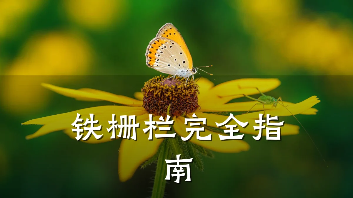 铁栅栏完全指南