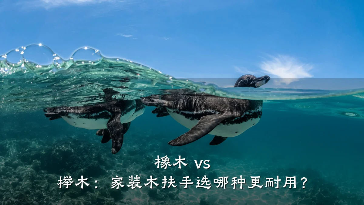 橡木 vs 榉木：家装木扶手选哪种更耐用？