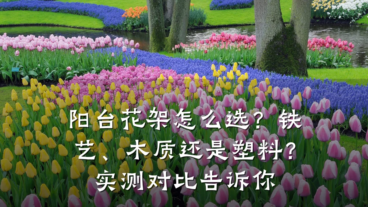 阳台花架怎么选？铁艺、木质还是塑料？实测对比告诉你