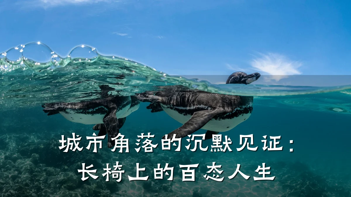 城市角落的沉默见证：长椅上的百态人生