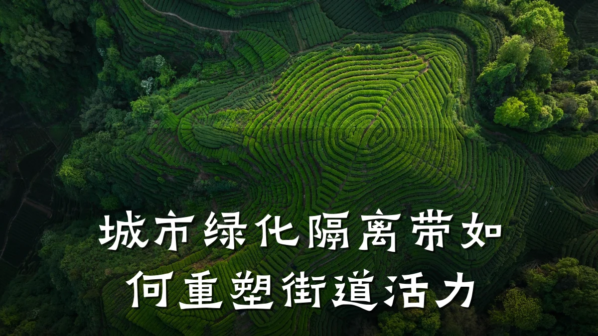 城市绿化隔离带如何重塑街道活力