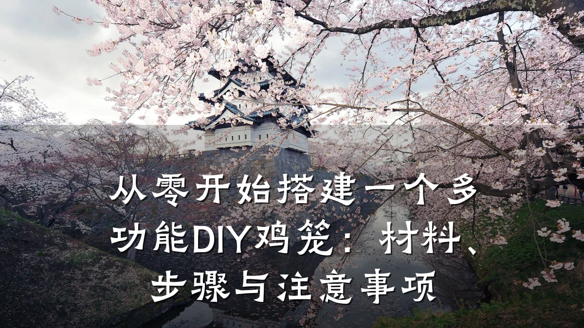 从零开始搭建一个多功能DIY鸡笼：材料、步骤与注意事项