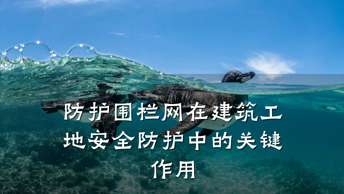 防护围栏网在建筑工地安全防护中的关键作用