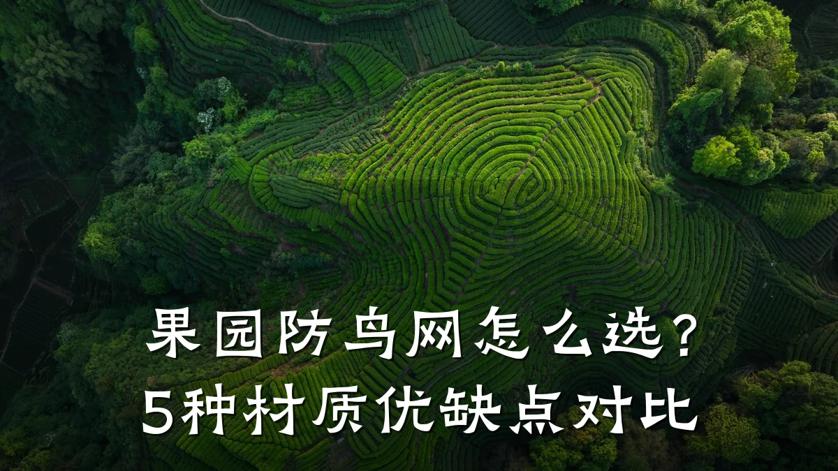 果园防鸟网怎么选？5种材质优缺点对比