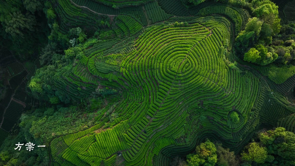 方案一