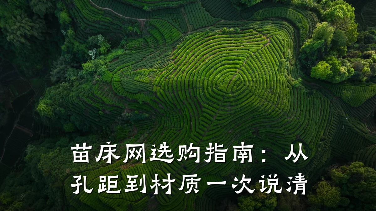 苗床网选购指南：从孔距到材质一次说清