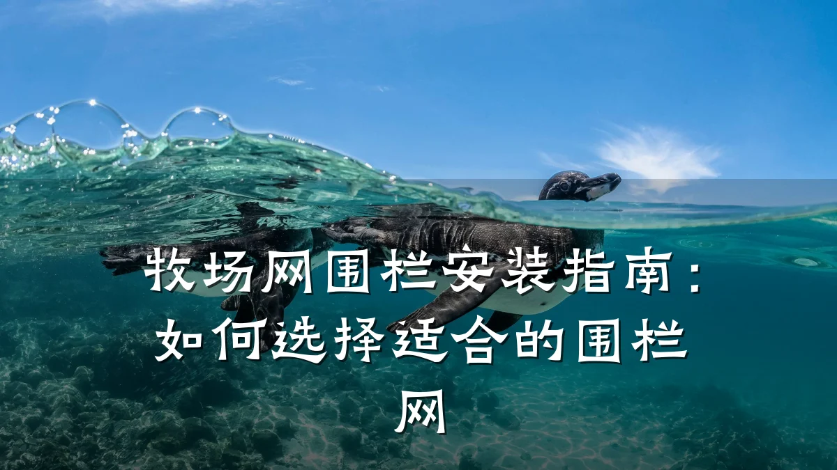 牧场网围栏安装指南：如何选择适合的围栏网