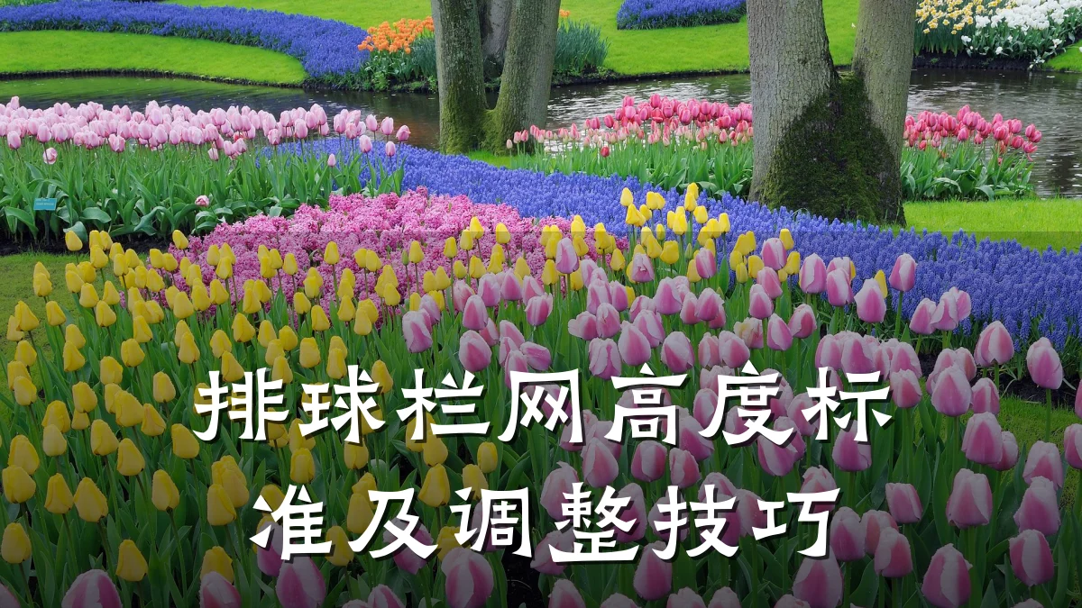 排球栏网高度标准及调整技巧