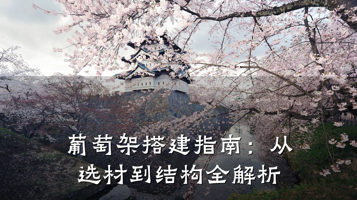 葡萄架搭建指南：从选材到结构全解析