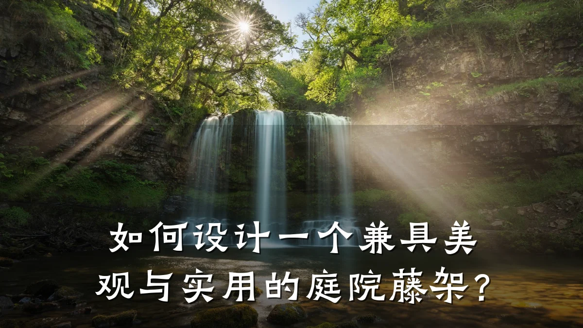 如何设计一个兼具美观与实用的庭院藤架？