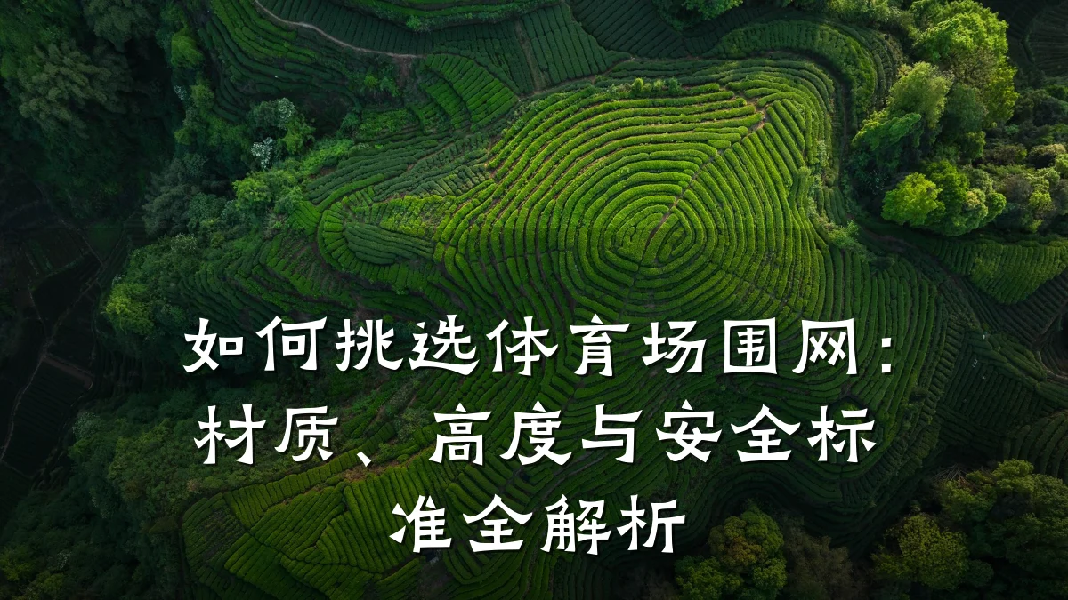 如何挑选体育场围网：材质、高度与安全标准全解析