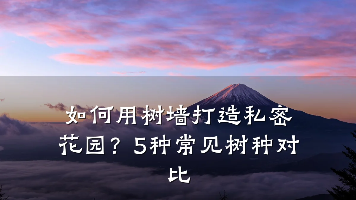 如何用树墙打造私密花园？5种常见树种对比