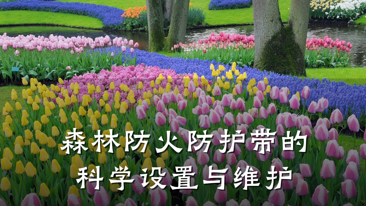 森林防火防护带的科学设置与维护