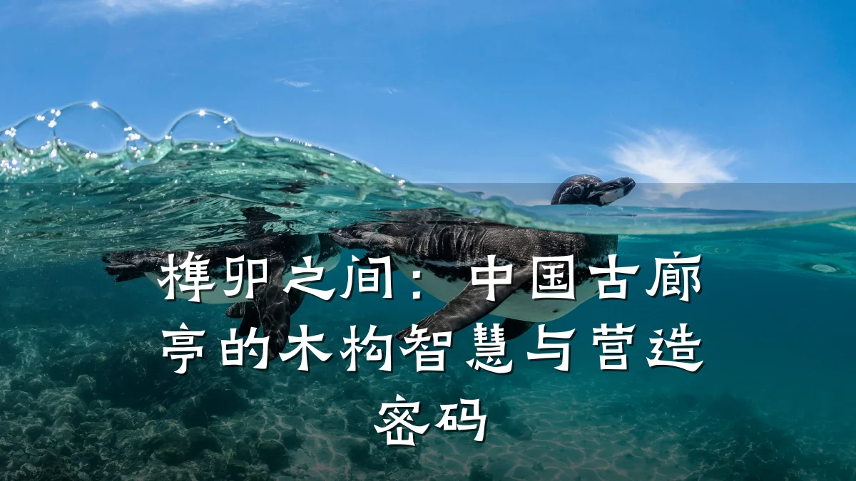 榫卯之间：中国古廊亭的木构智慧与营造密码