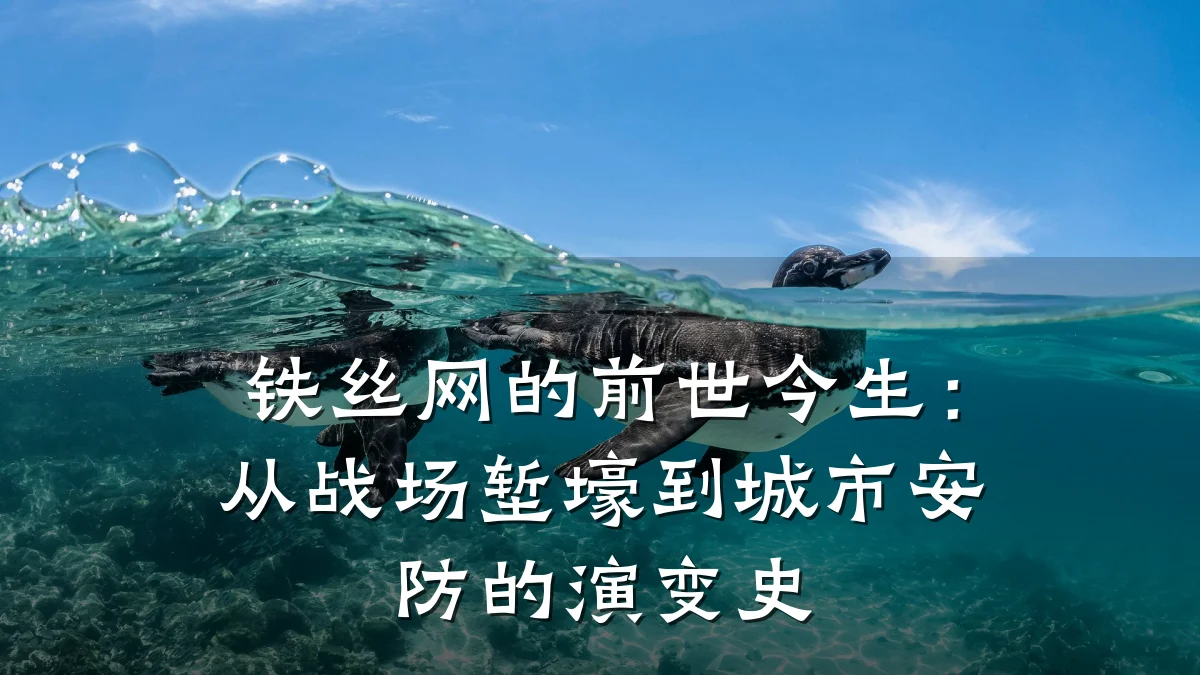 铁丝网的前世今生：从战场堑壕到城市安防的演变史