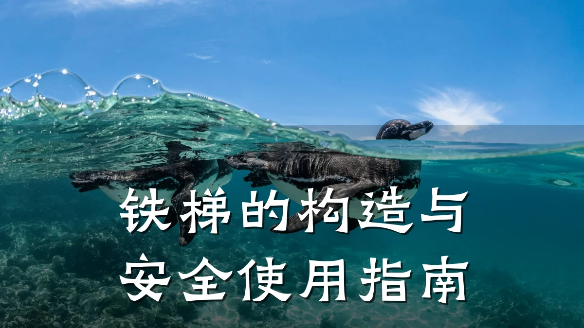 铁梯的构造与安全使用指南