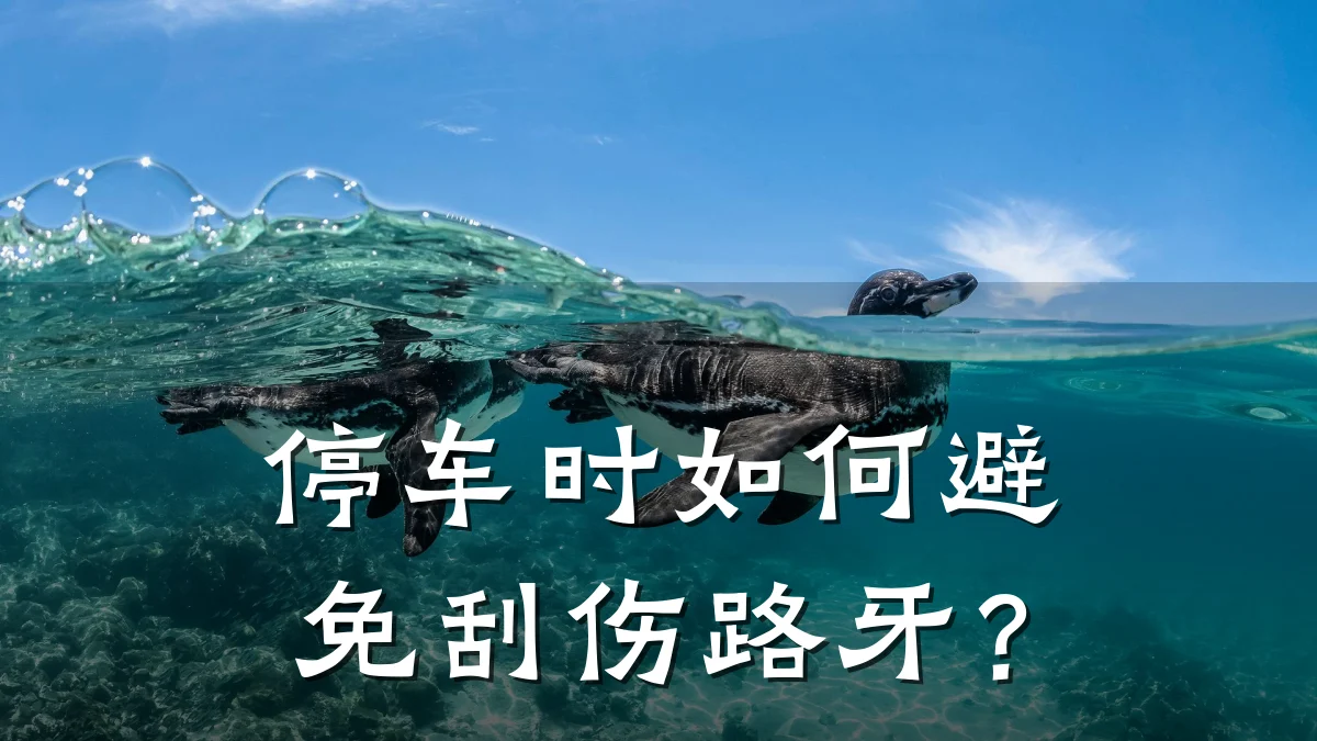 停车时如何避免刮伤路牙？
