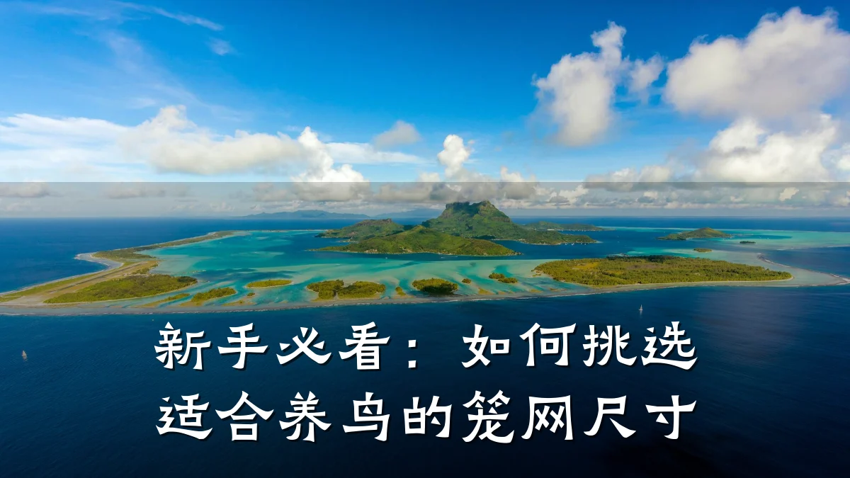 新手必看：如何挑选适合养鸟的笼网尺寸