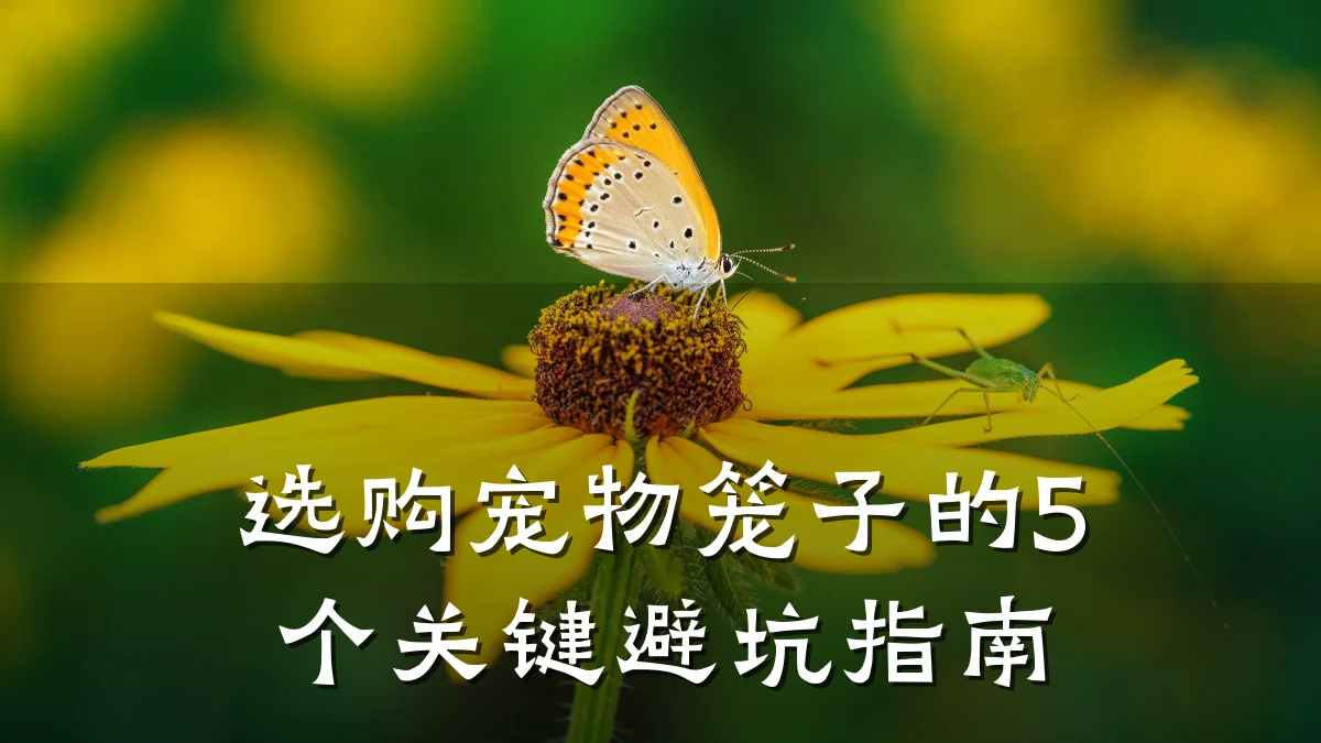 选购宠物笼子的5个关键避坑指南