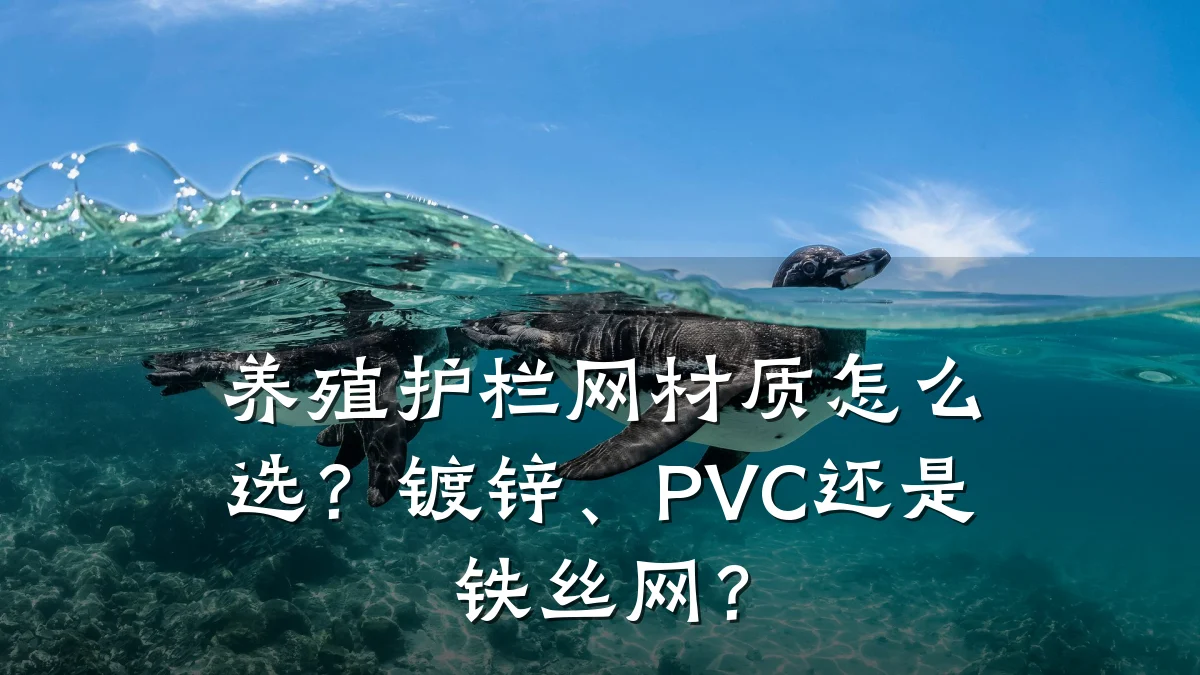 养殖护栏网材质怎么选？镀锌、PVC还是铁丝网？