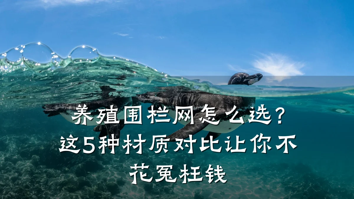 养殖围栏网怎么选？这5种材质对比让你不花冤枉钱