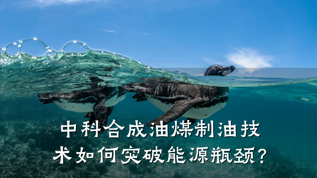 中科合成油煤制油技术如何突破能源瓶颈?
