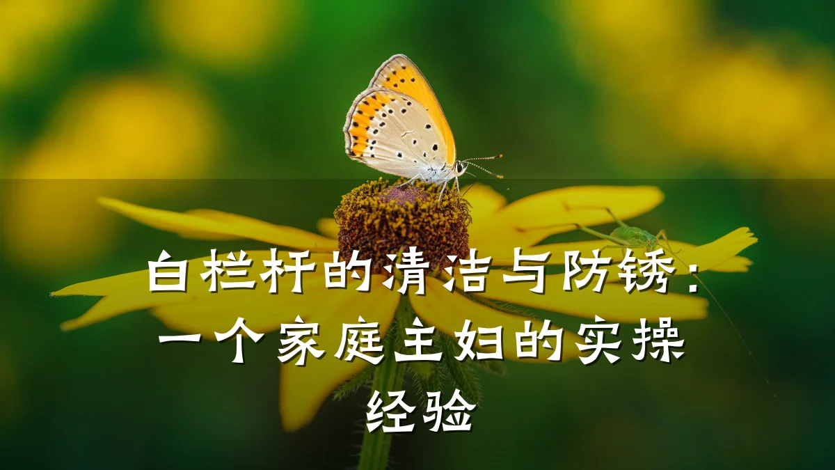 白栏杆的清洁与防锈：一个家庭主妇的实操经验
