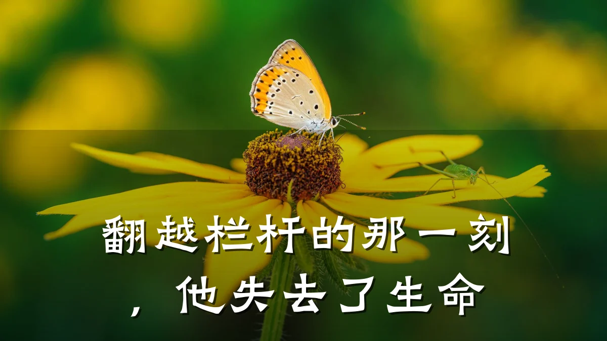 翻越栏杆的那一刻，他失去了生命