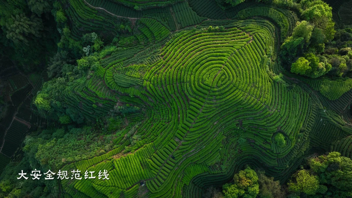 大安全规范红线