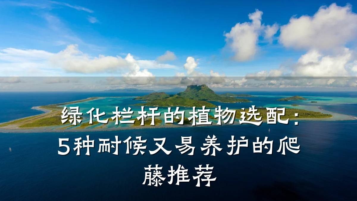绿化栏杆的植物选配：5种耐候又易养护的爬藤推荐