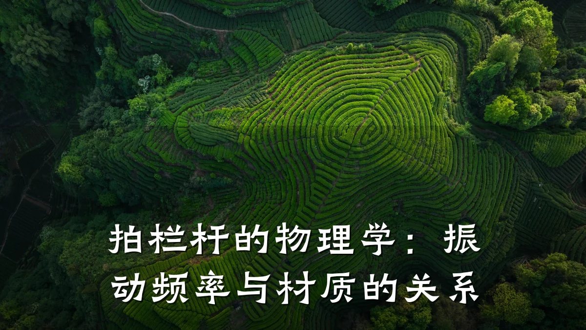 拍栏杆的物理学：振动频率与材质的关系