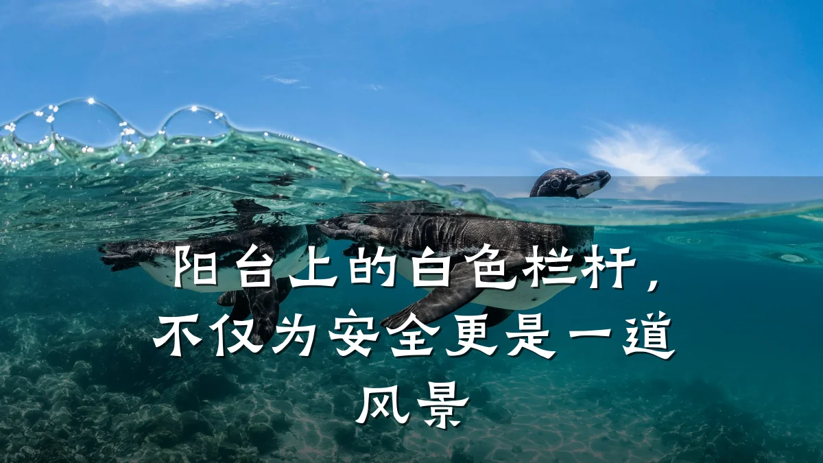 阳台上的白色栏杆，不仅为安全更是一道风景