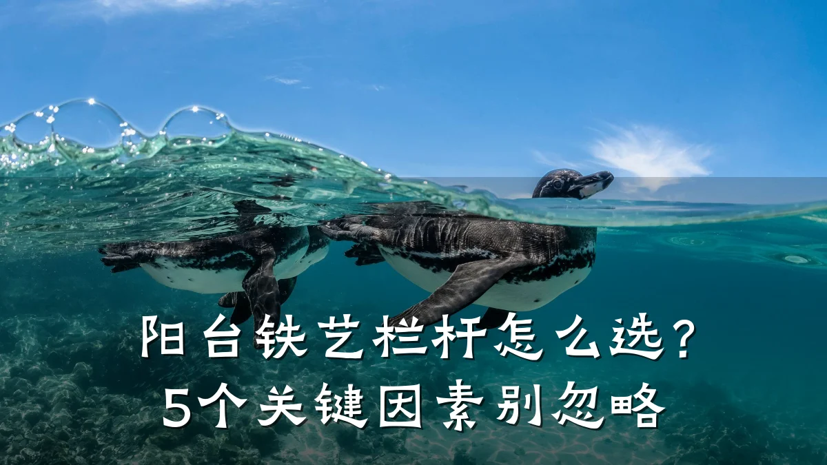 阳台铁艺栏杆怎么选？5个关键因素别忽略