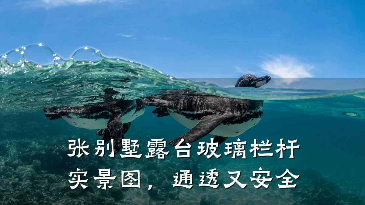 张别墅露台玻璃栏杆实景图，通透又安全
