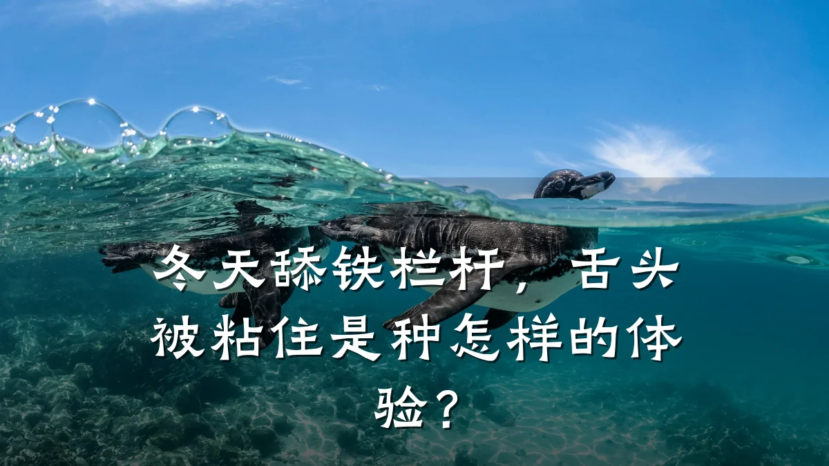 冬天舔铁栏杆,舌头被粘住是种怎样的体验?