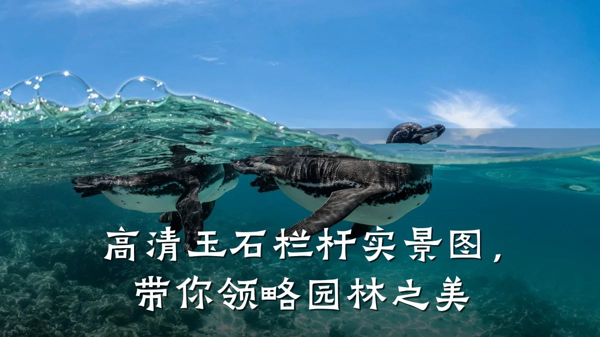 高清玉石栏杆实景图，带你领略园林之美