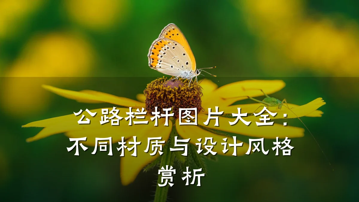 公路栏杆图片大全：不同材质与设计风格赏析