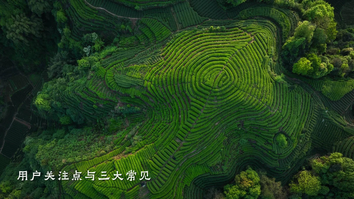 用户关注点与三大常见