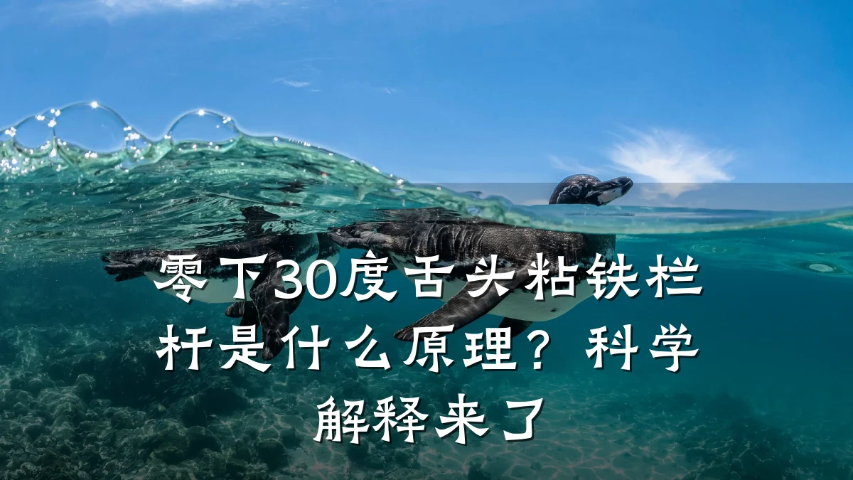零下30度舌头粘铁栏杆是什么原理?科学解释来了
