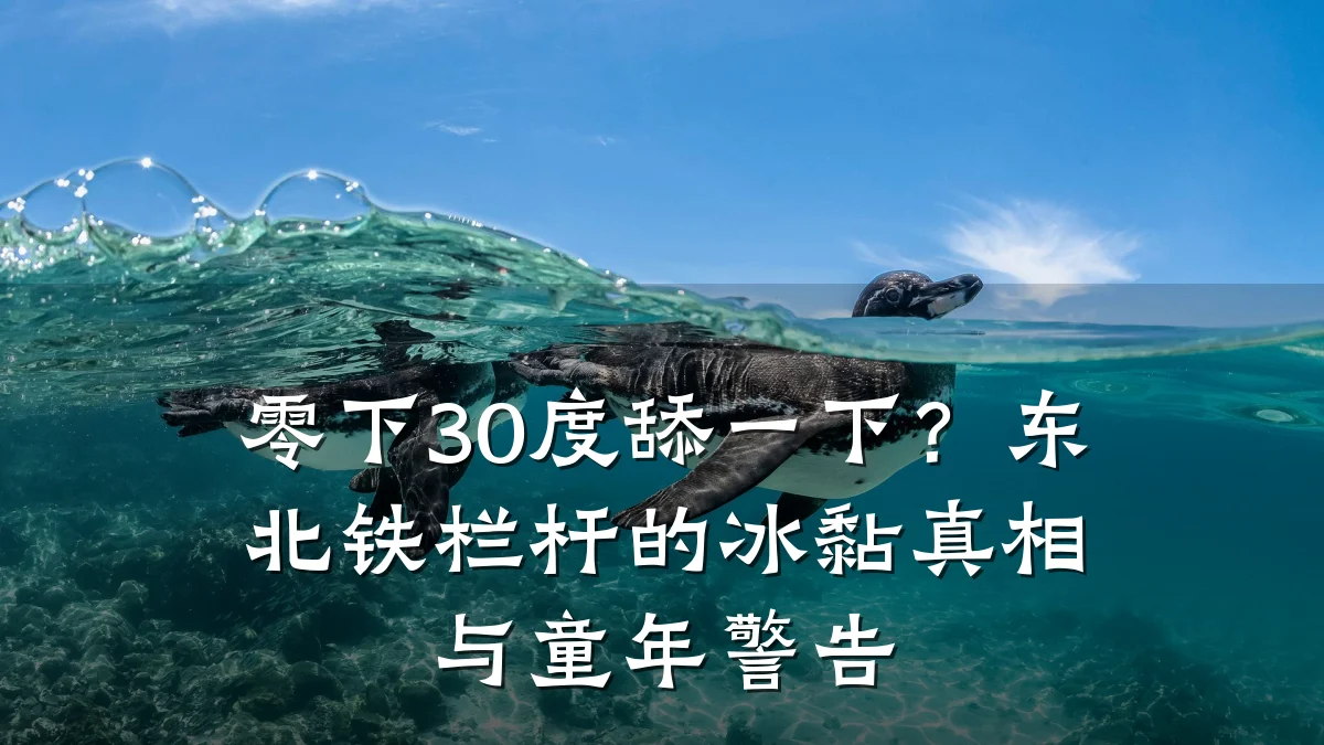 零下30度舔一下？东北铁栏杆的冰黏真相与童年警告