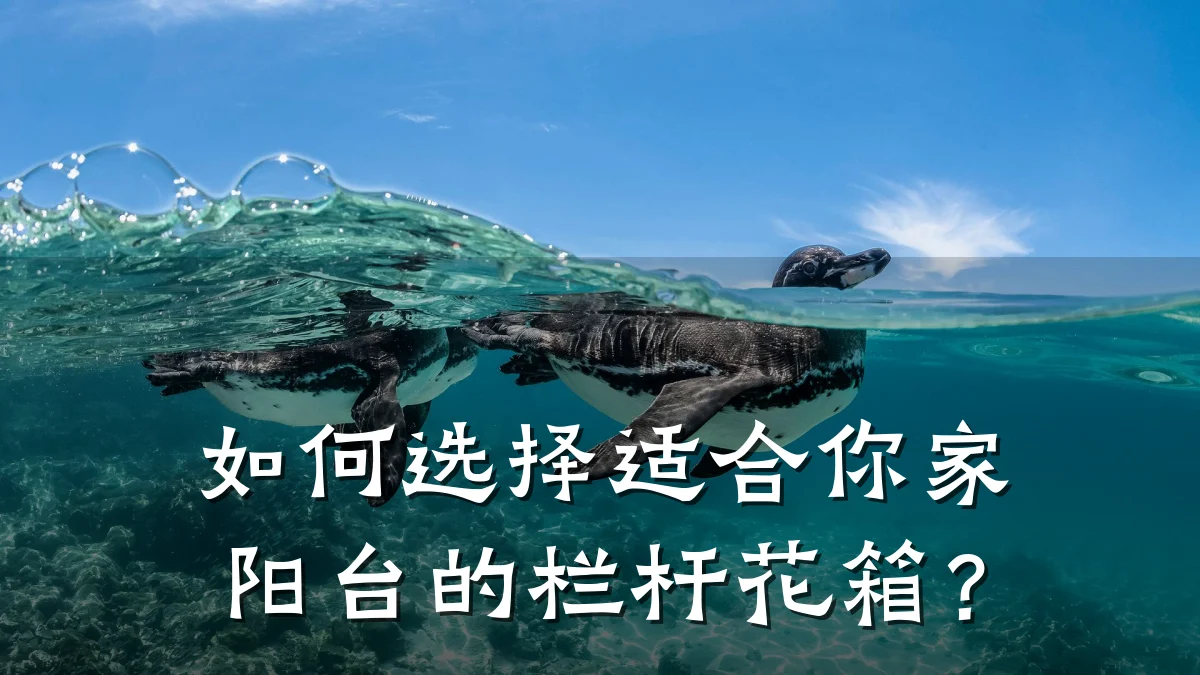 如何选择适合你家阳台的栏杆花箱？