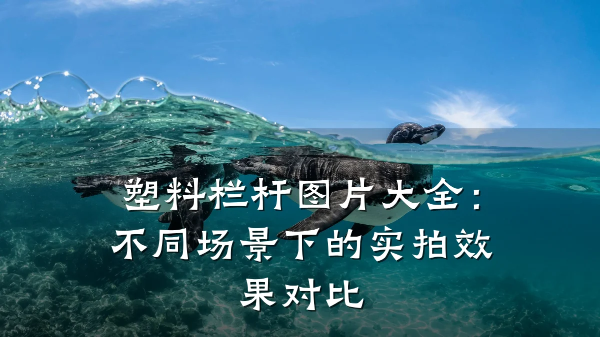 塑料栏杆图片大全：不同场景下的实拍效果对比